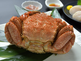 ŖъI