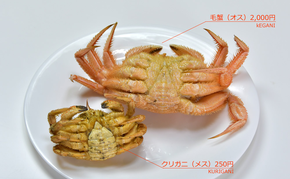 密漁メガニの作り方