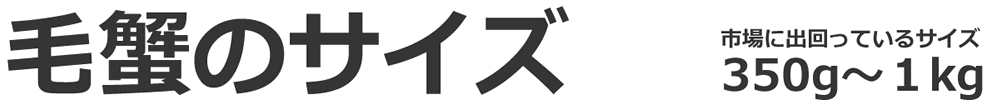 Jj̃TCY