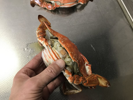 ^Kĵ΂