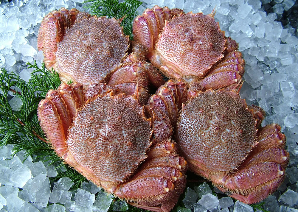 ъI