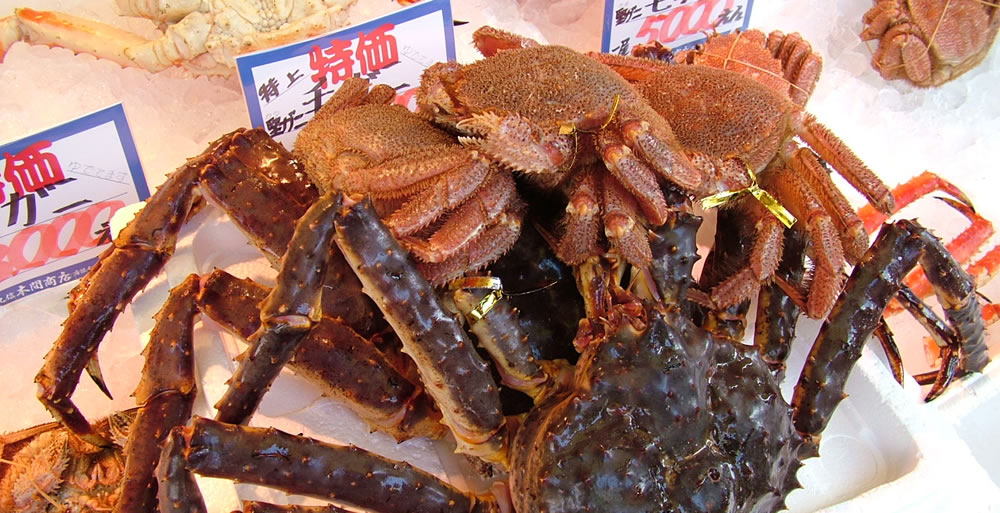 函館朝市