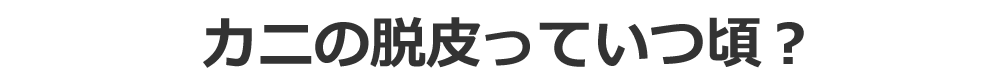 カニの脱皮の季節