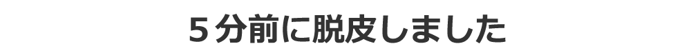 脱皮のカニ