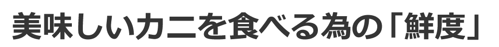 Jj̑Nx