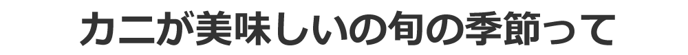 Jj̏{