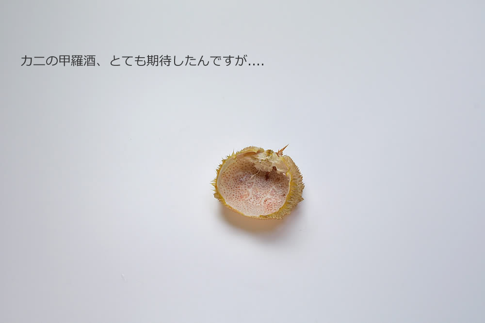 毛蟹の甲羅酒