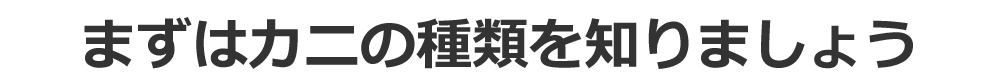 Jj̎