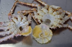 タラバガニのさばき方