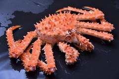 タラバガニ姿