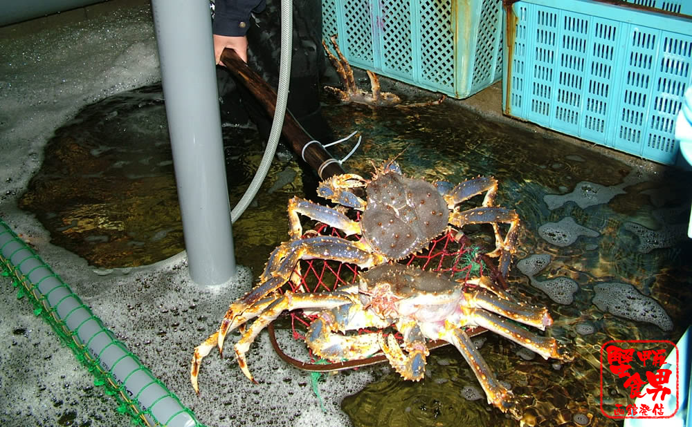 AuKj