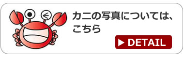 ̃Jjʐ^