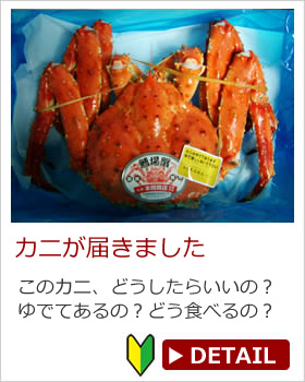 蟹が届きました