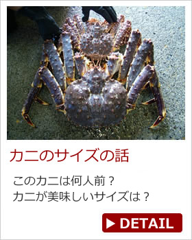 Jj̃TCY