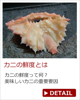 Jj̑Nx