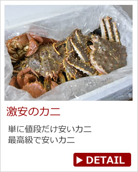 ̃Jj