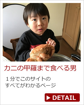 ߂̃Jj