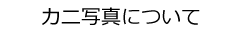 I̎ʐ^