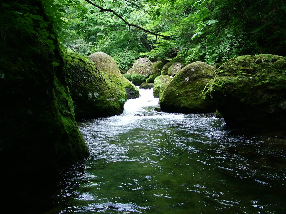 函館の松倉川