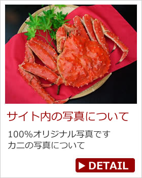 カニの写真