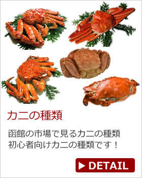 蟹の種類