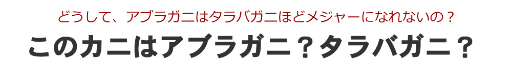 ߂̃AuKj