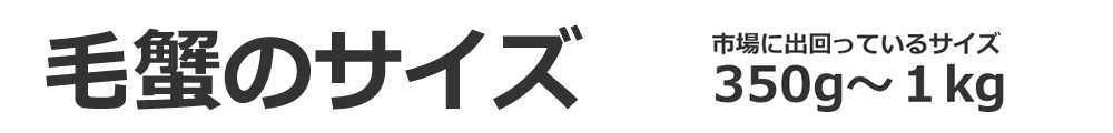毛蟹のサイズ