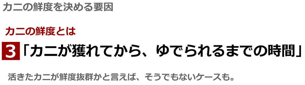 函館朝市のカニ
