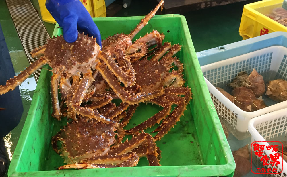 カニの大きさ