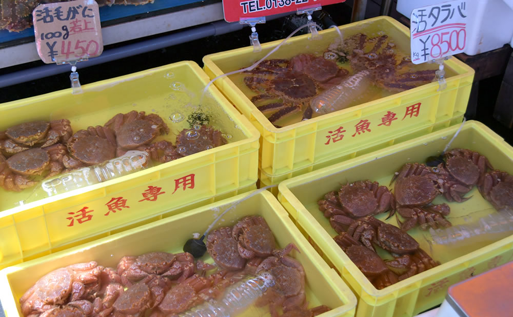 函館朝市