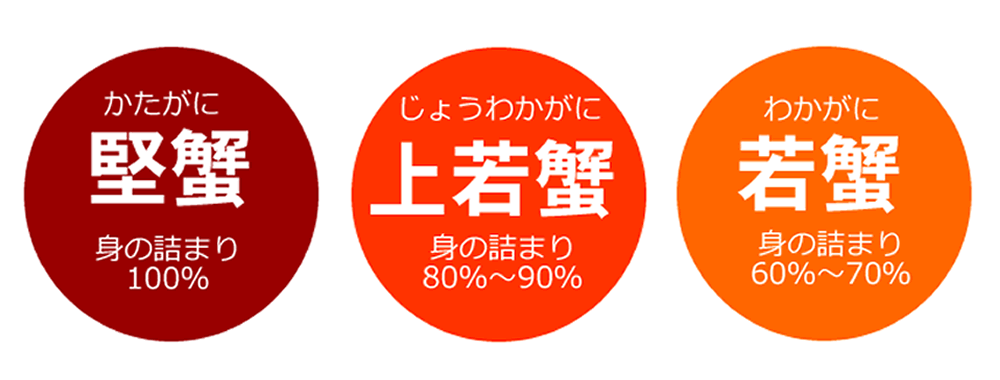Jj̃N