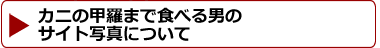 Jj̎ʐ^