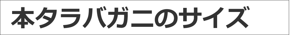 ^oKĵ߃TCY